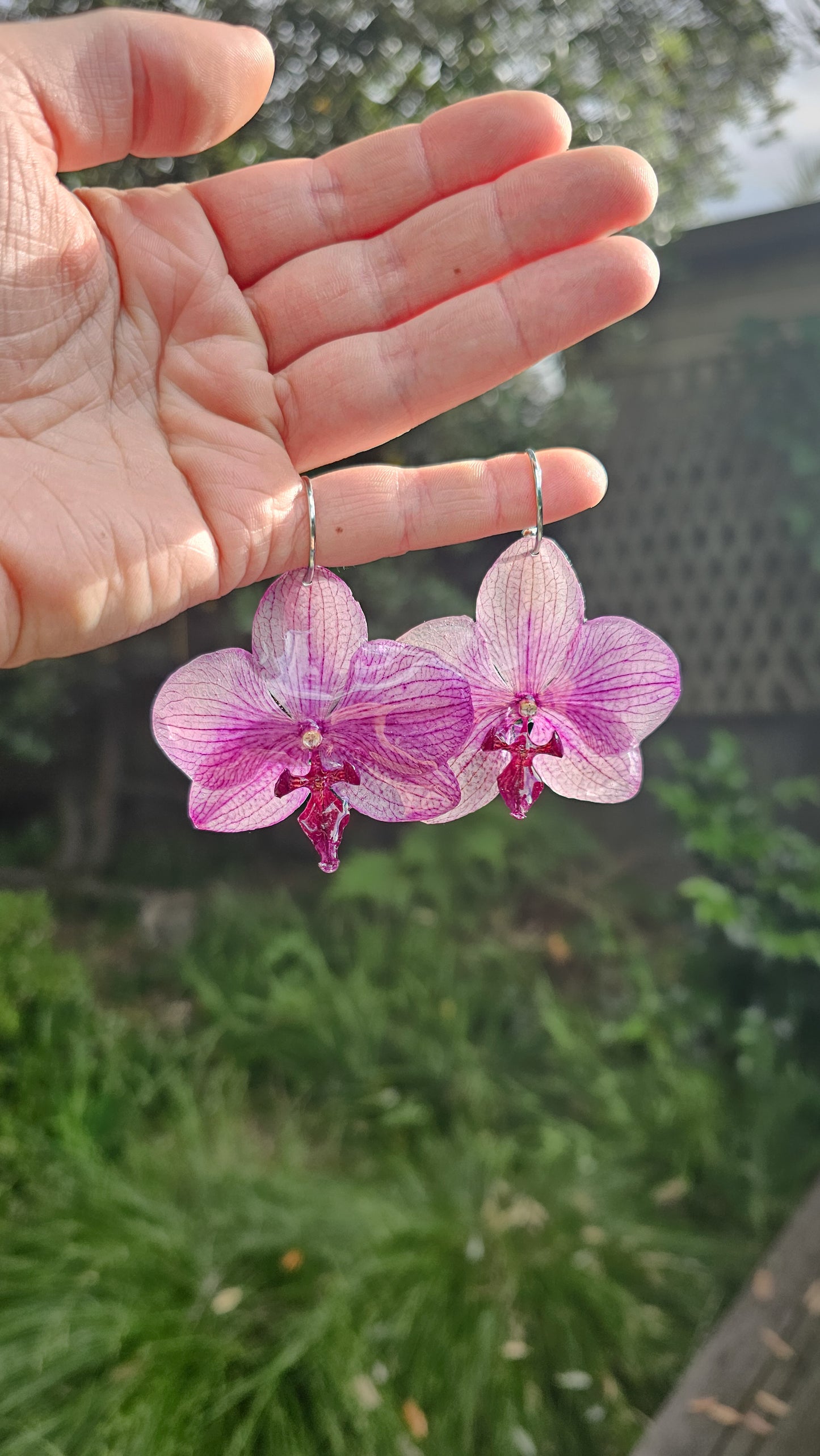 Orchid Madness