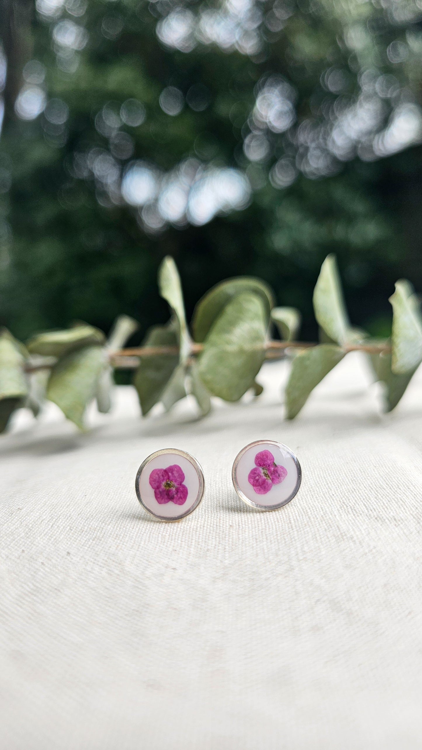 Sweet Alyssum Studs