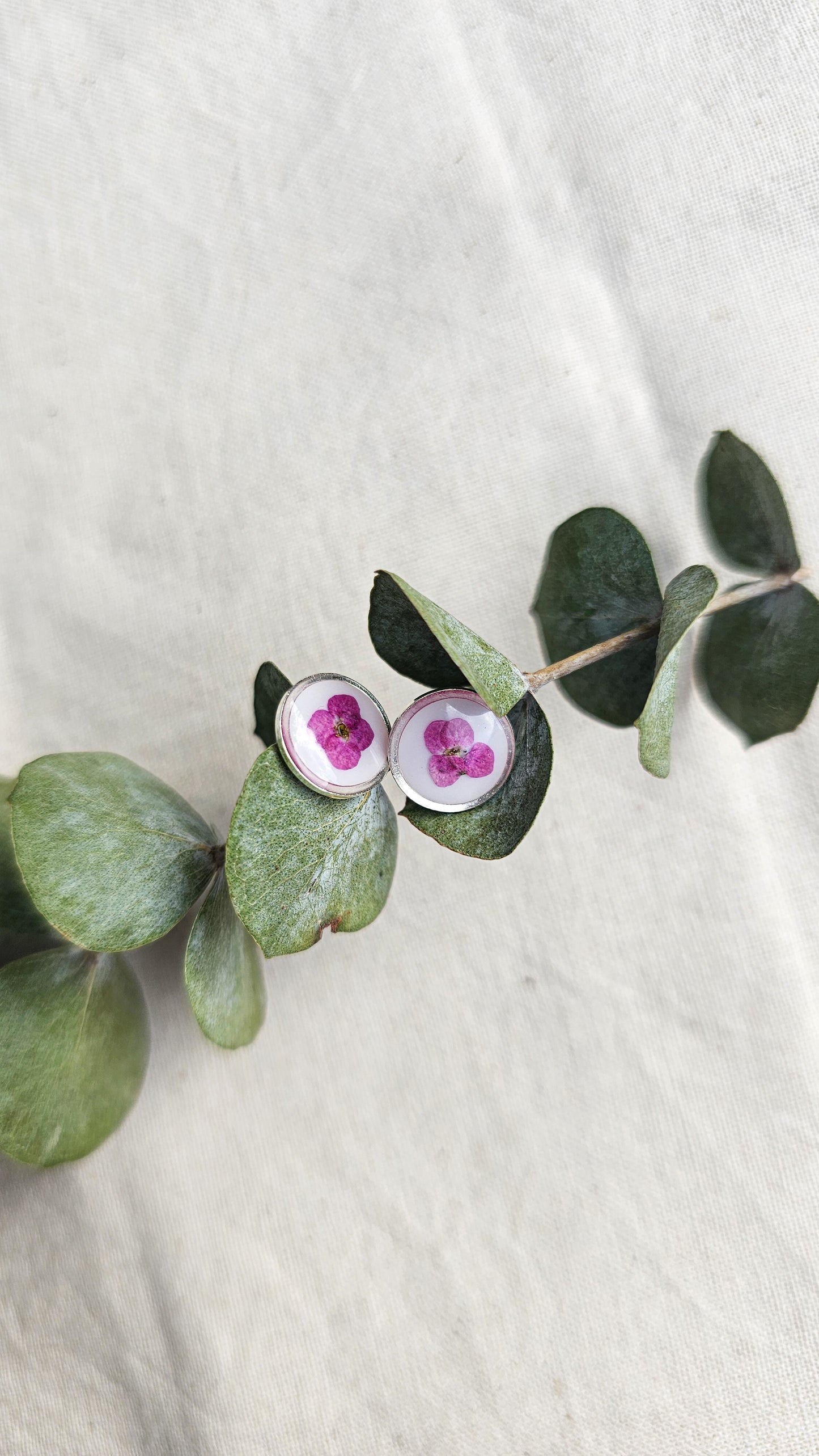 Sweet Alyssum Studs