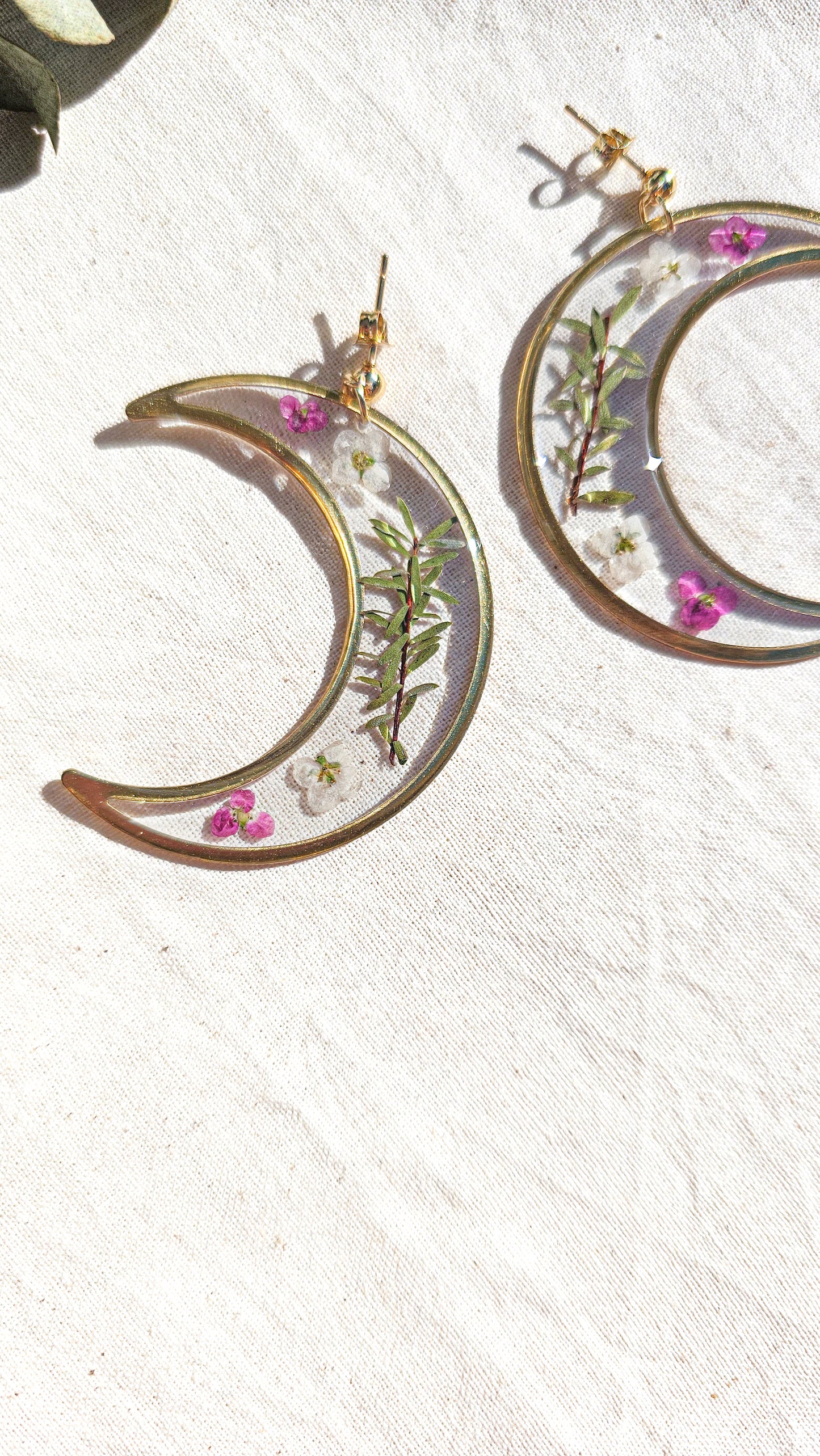 Manuka & Alyssum Moons