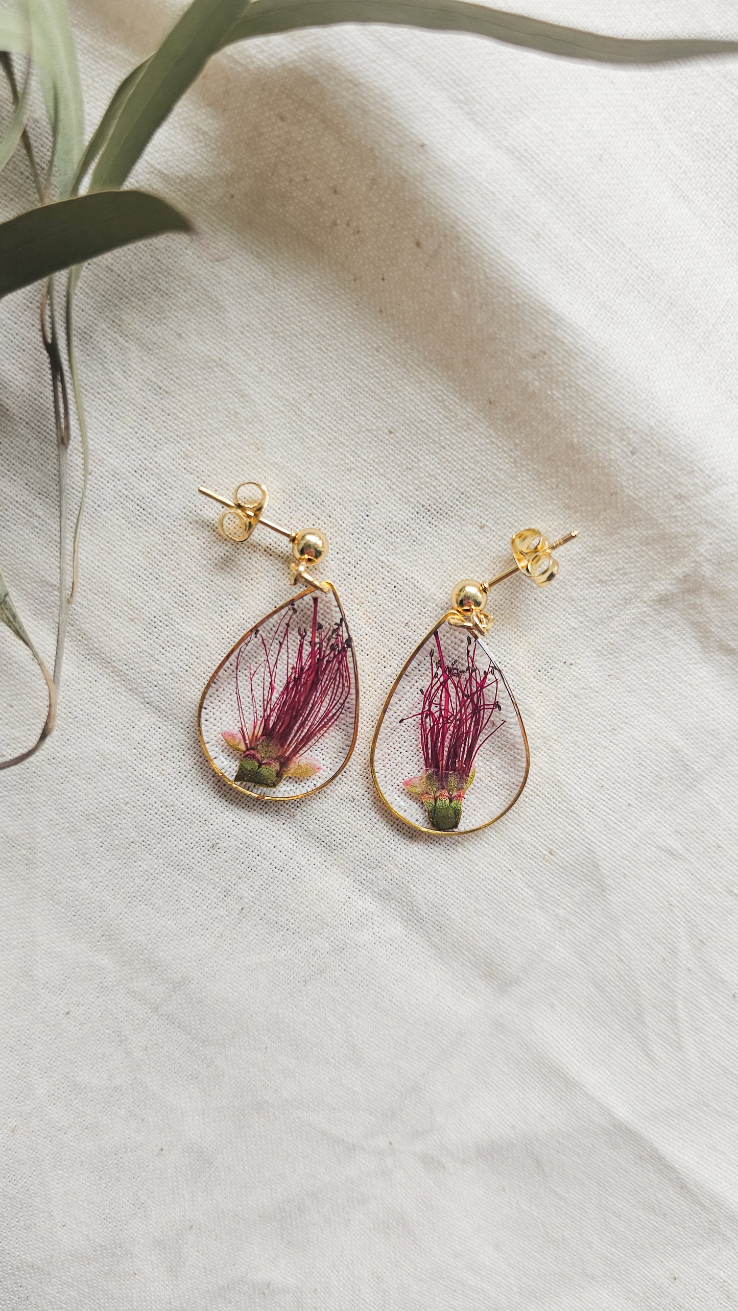 Bottlebrush Teardrops