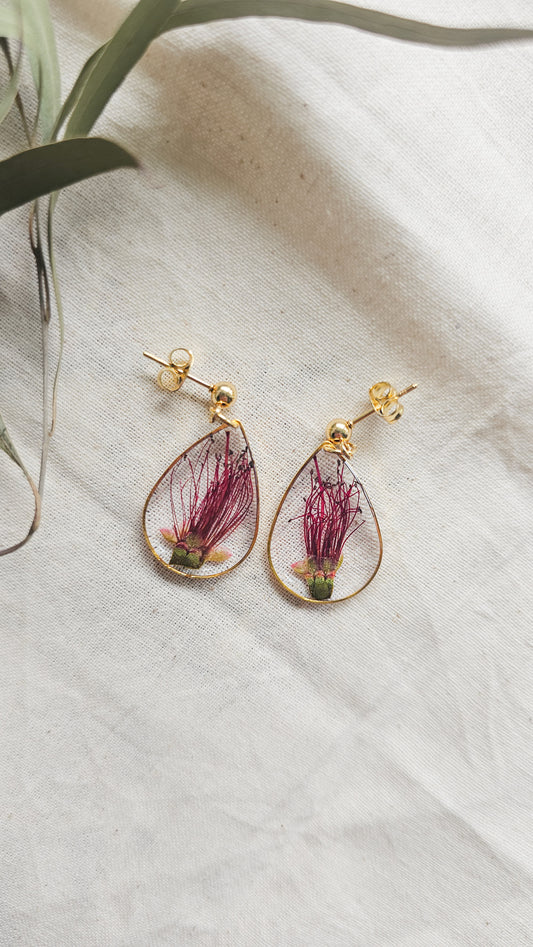 Bottlebrush Teardrops