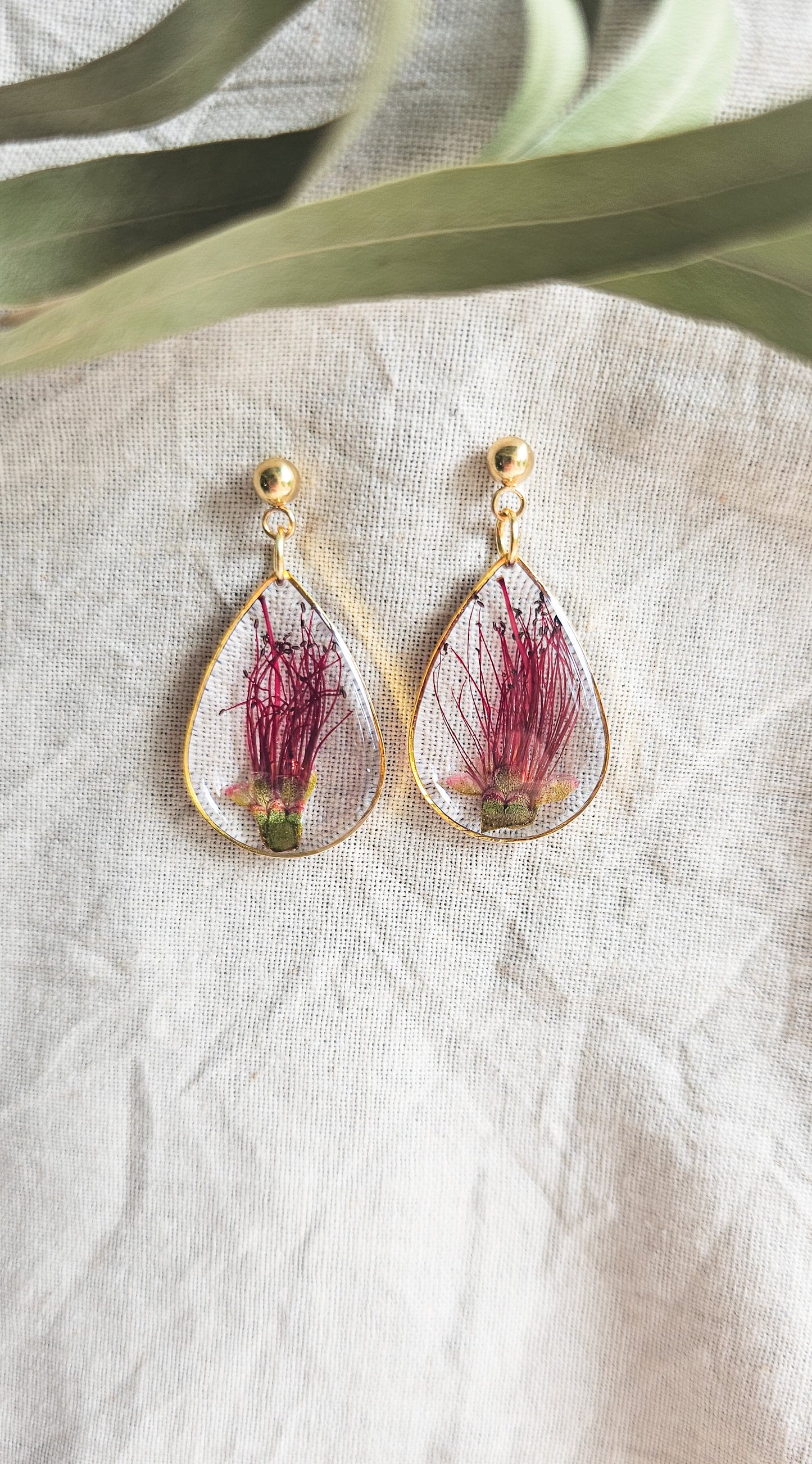 Bottlebrush Teardrops