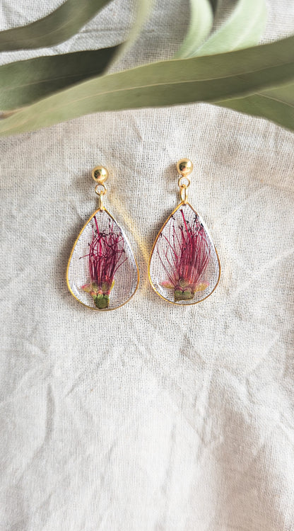 Bottlebrush Teardrops