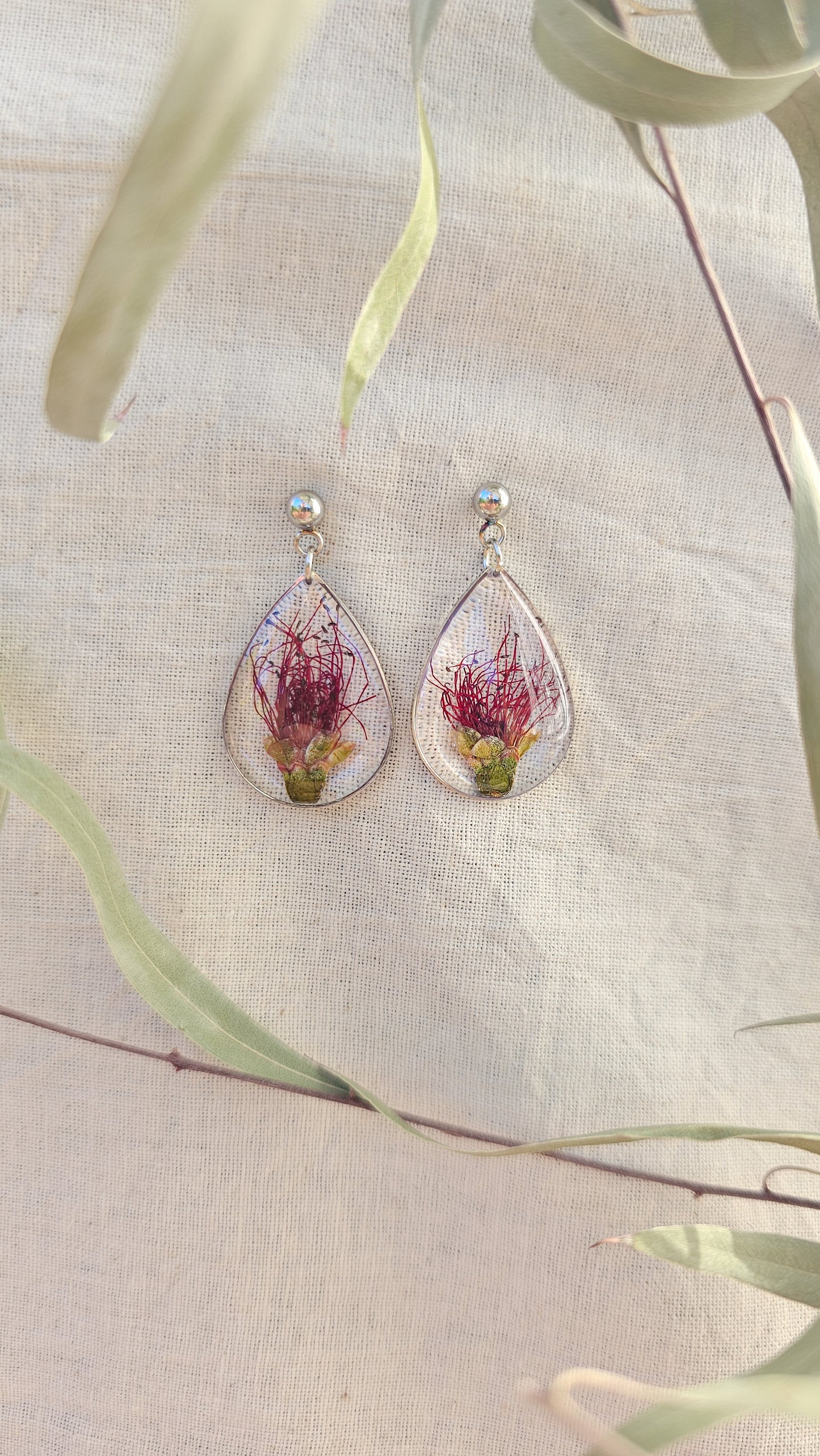 Bottlebrush Teardrops