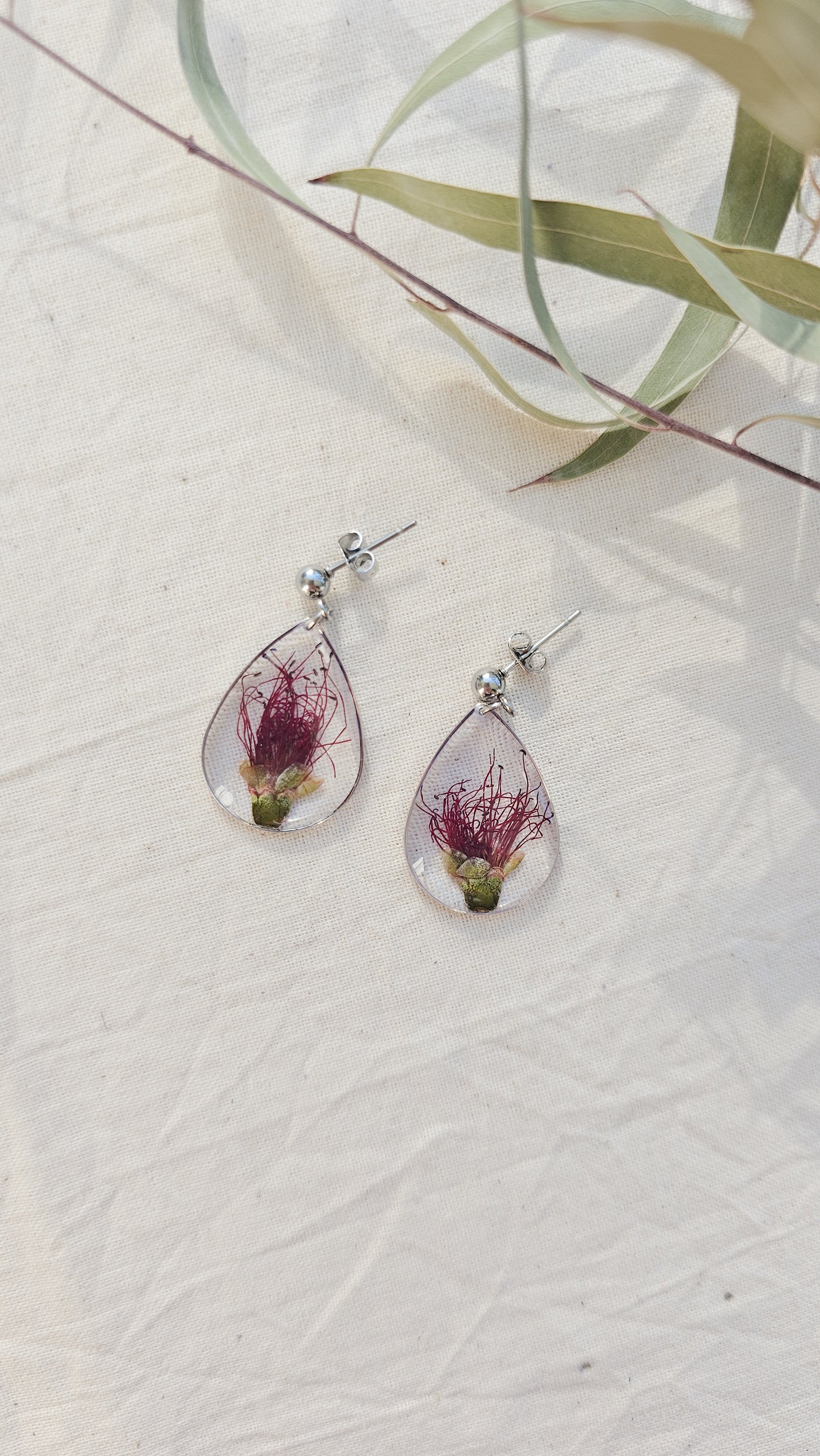 Bottlebrush Teardrops